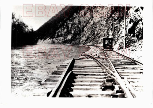 8g484 1924 50s - 8g484, 1924/50s