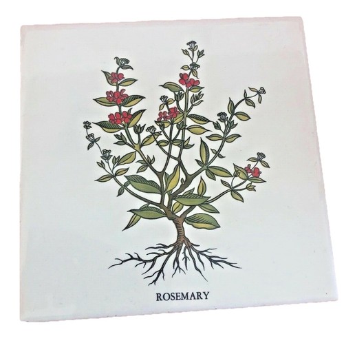 Ceramic tile rosemary white - rosemary,