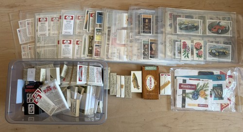 Large quantity cigar - a,
