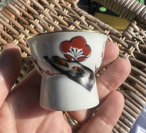 Saki cups erotic lady - erotic, secret
