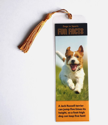 Bookmark jack russell terrier - bookmark,
