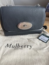 Mulberry Lily