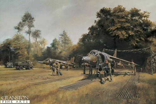 Squadron raf aviation art - 1,