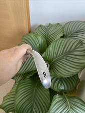 Callaway X2 Hot #8 Iron /