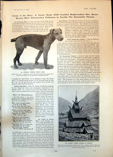 Old print airedale terrier est - old,