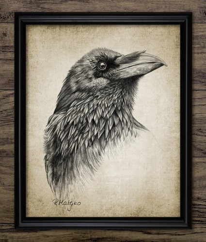 Raven print crow - raven, print,