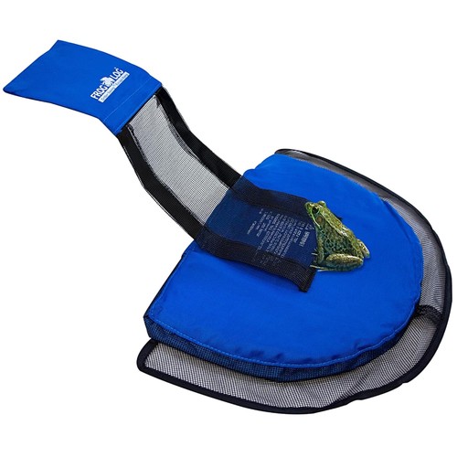 Frog log pool - log,