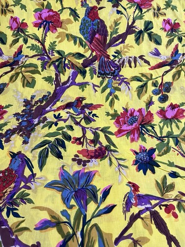 Yard indian yellow bird hand - yard,