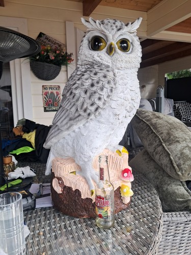 Owl mold latex and - latex,