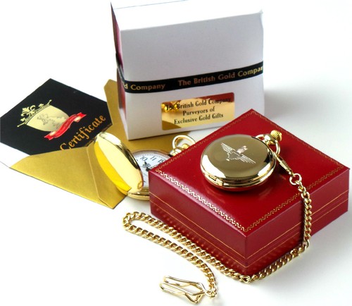 Parachute regiment gold pocket - parachute,
