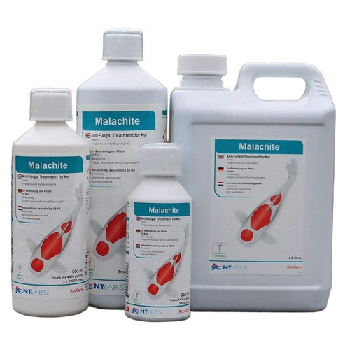 Labs malachite koi - labs,