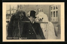 Bumblebee Bumblebee as Animal