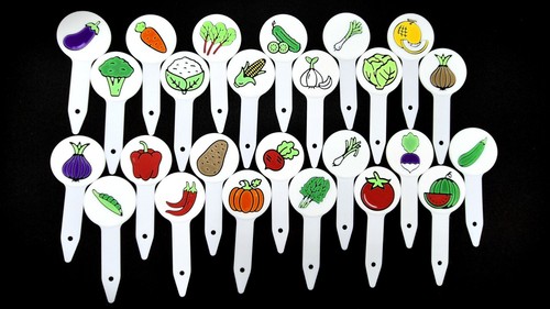 Plant tags illustrated - plant,