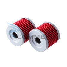 2xOil Filter fits YX150 YX160