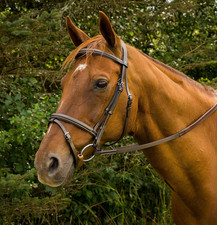 Plain Raised Bridle with Flash