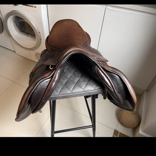 Pony cob and horse - jump, saddle