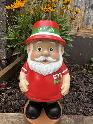 Garden gnome painted - gnome,