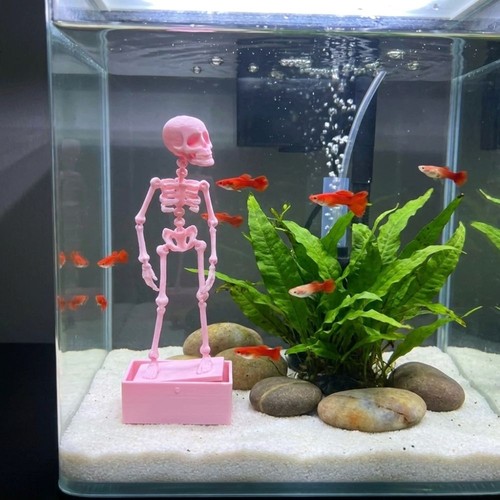 1pc aquarium tank fish - aquarium,