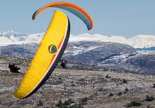 Paraglider