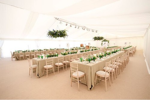 Limewash chiavari chair - limewash,