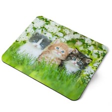 Mouse Mat Pad - Gorgeous Kittens Garden Cats Animals Laptop PC Desk Office #8663