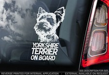 Yorkshire Terrier - Car Window