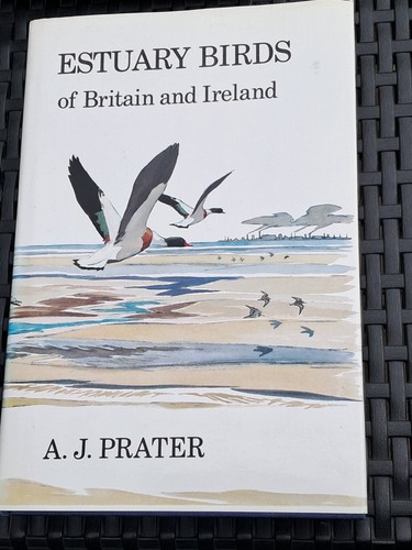Estuary birds britain and - birds,