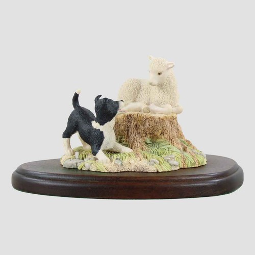 Lamb and border collie pup - and,