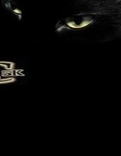 G - Scrap Catalytic Cnverter