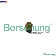 TEMPERATURE SWITCH RADIATOR