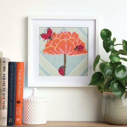 Anchor beginner tapestry kit - anchor,