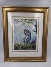 Stephen Gayford Limited Edition Print "Mysterious" Leopard Framed 598/1250
