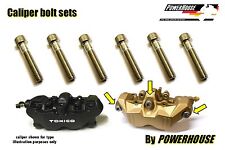 Suzuki GSXR 1000 K4 Stainless joint bolt set Tokico radial front brake calipers