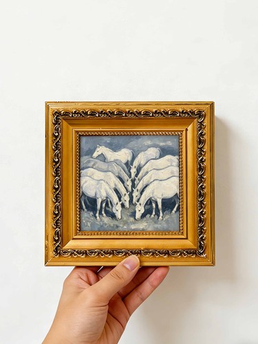 White horse herd - horse,