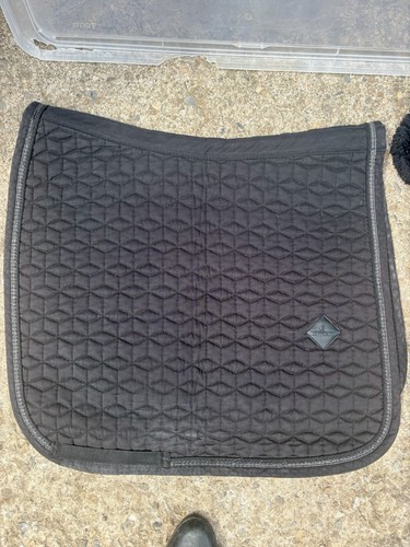 Kentucky horse wear dressage - horse,