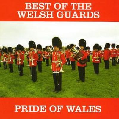 The band - the, guards