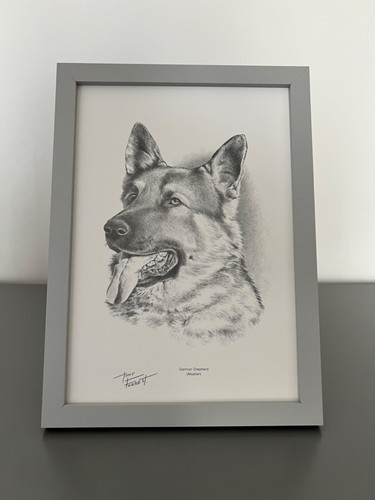 Framed german shepherd art - framed,