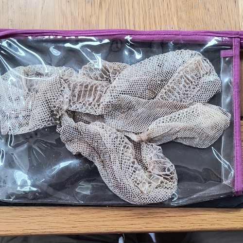 Snake skin witchcraft - skin,