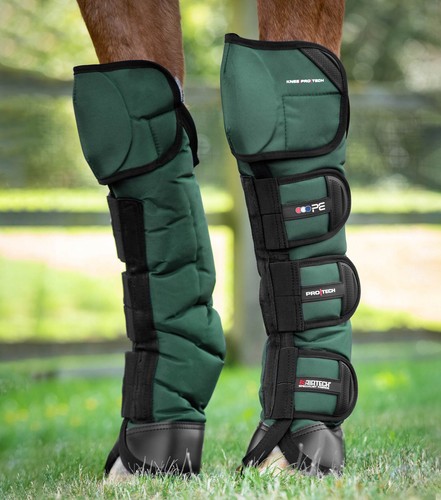 Premier equine ballistic knee - equine,