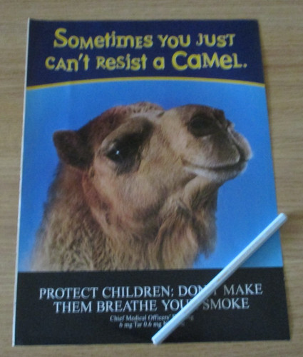 Camel cigarette advert - camel,