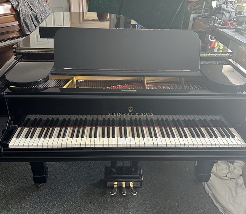 Steinway model grand 1903 - model,