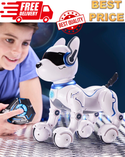 Ziggy the robo - ziggy, dog