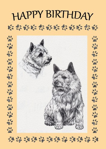Norwich terrier dog birthday - terrier,