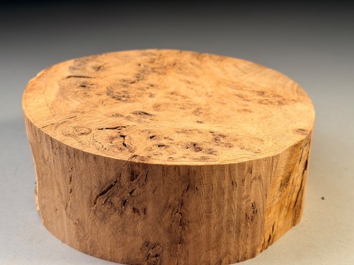 Amazing burr oak wood turning - oak,