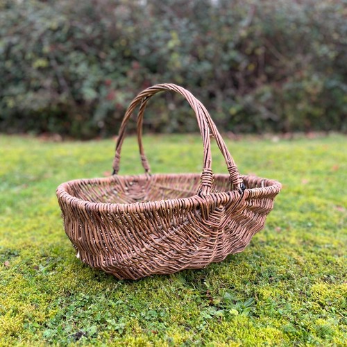 Garden trug basket - garden, flower