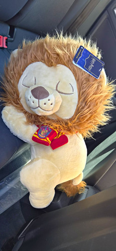 Harry potter gryffindor lion - harry,