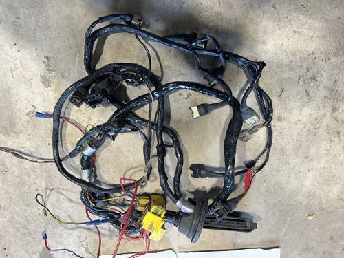 Cosworth engine wiring - cosworth, loom