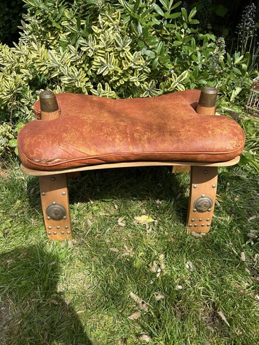 Vintage egyptian camel - egyptian,