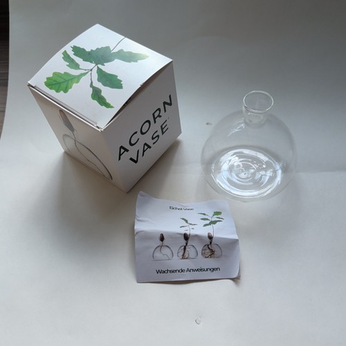 Acorn clear vase glass - clear, ilex