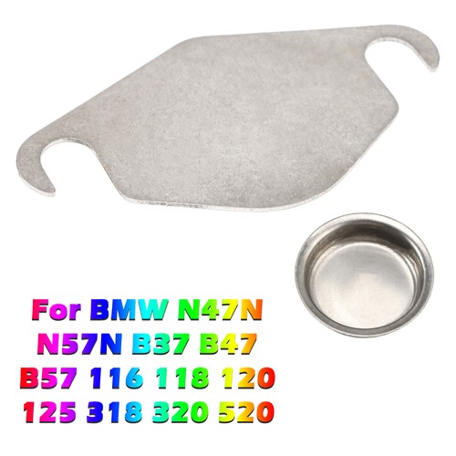 Egr valve gasket - egr,